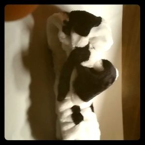 A black and white headband